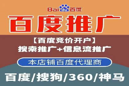 SEM竞价实战：成功案例解析